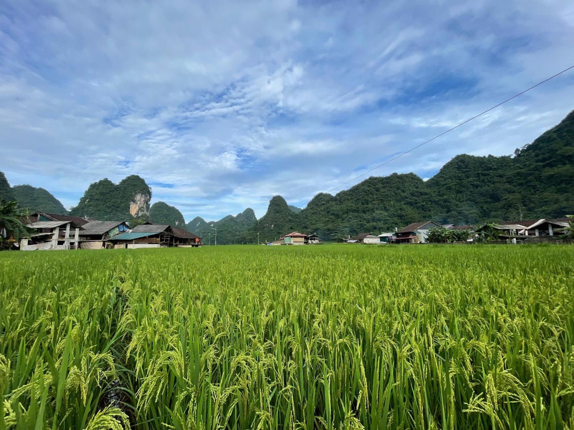 Nung An Homestay Quang Uyen Kültér fotó