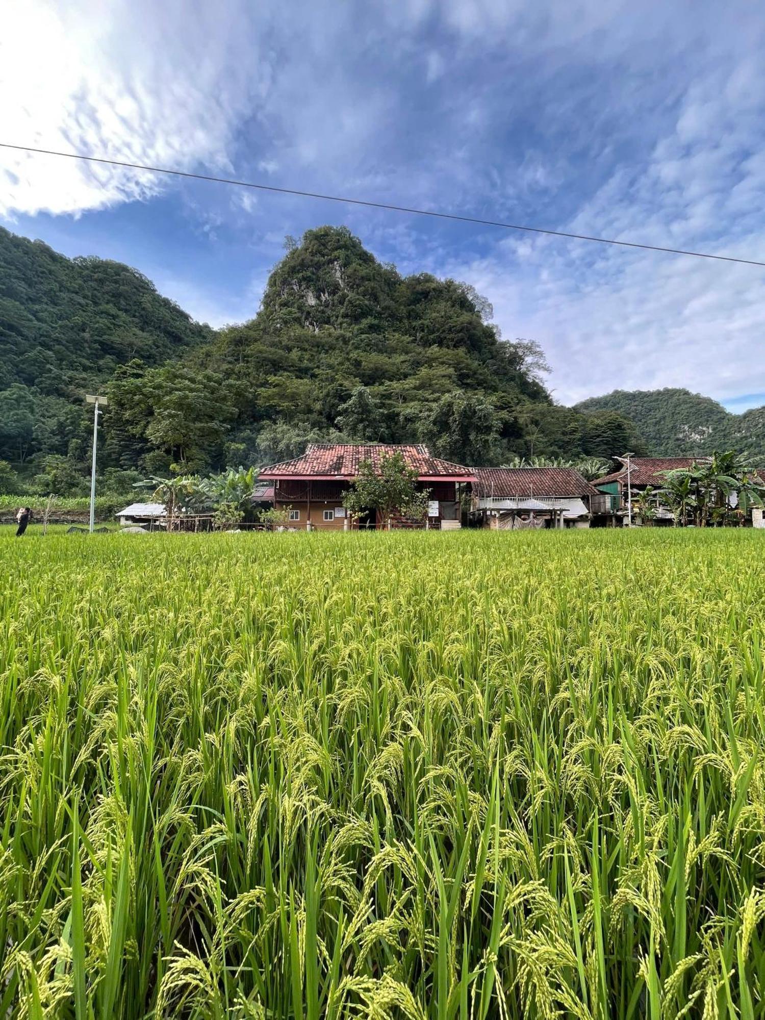 Nung An Homestay Quang Uyen Kültér fotó