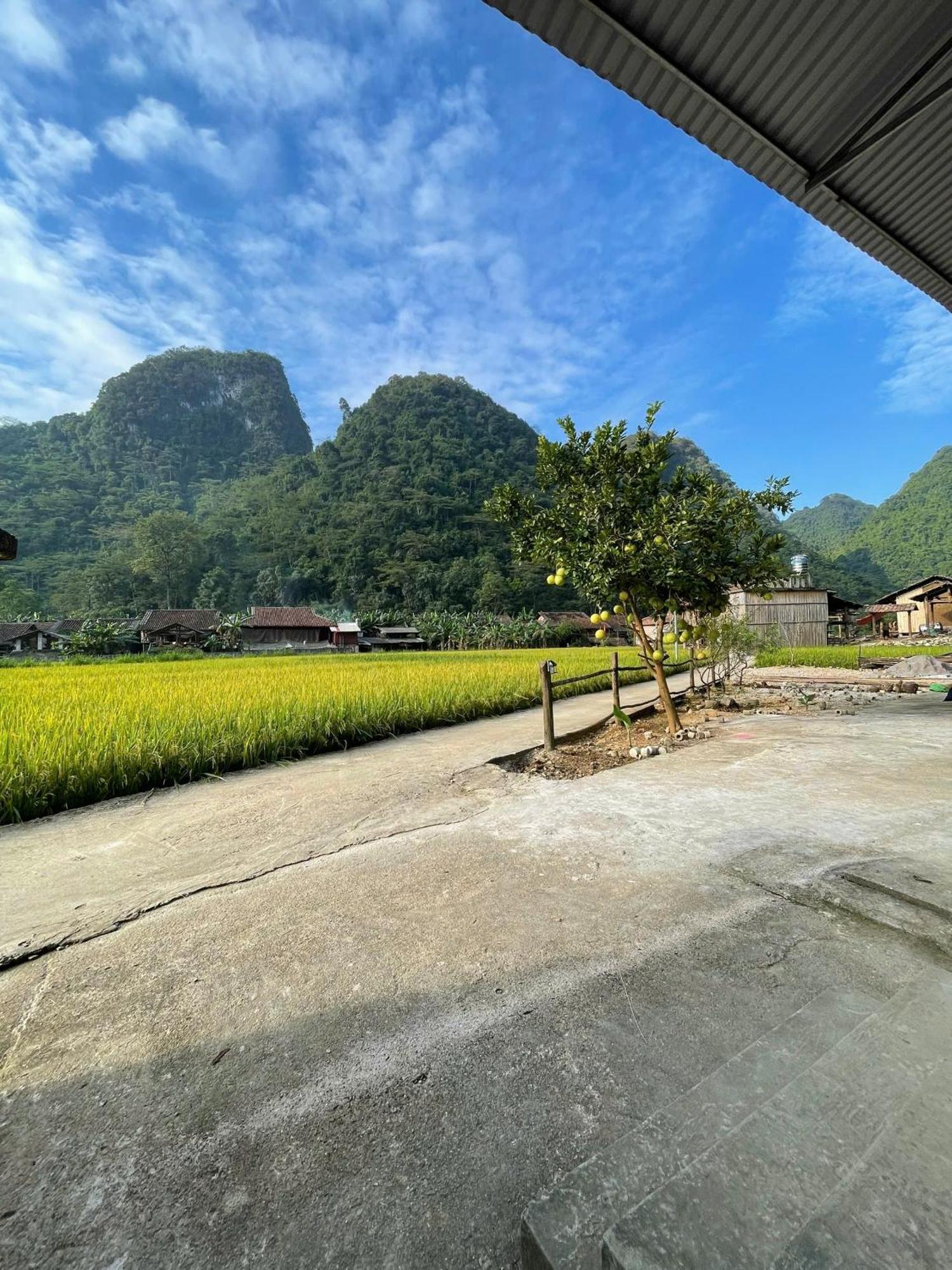 Nung An Homestay Quang Uyen Kültér fotó